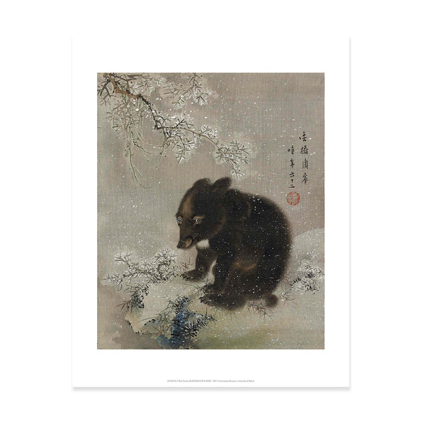 Black Bear Cub In Snow Print