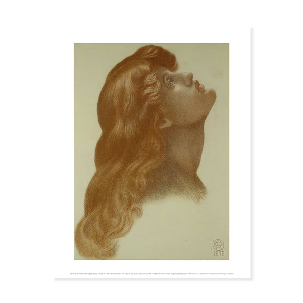 Head of a Woman Print