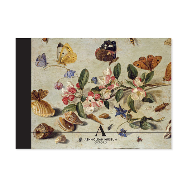 Flowers and Insects: Jan van Kessel A5 Sketchbook