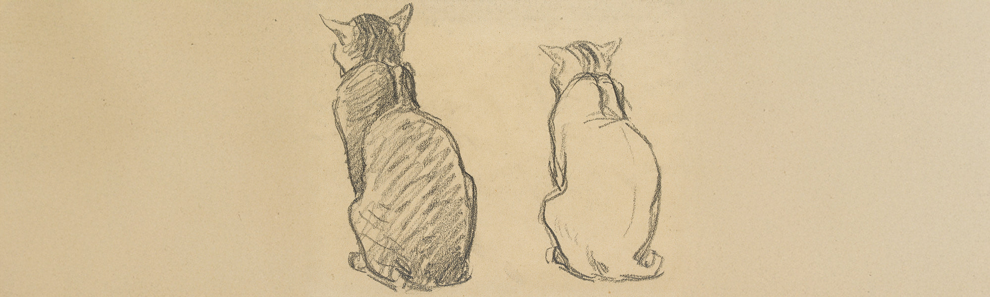 Expanded version of Two studies of a cat pencil sketch by artist, Théophile Alexandre Steinlen