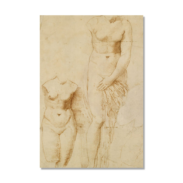 A vertical art print featuring a sepia-toned classical sketch of two female nude torso studies on aged paper, shown against a light gray background.