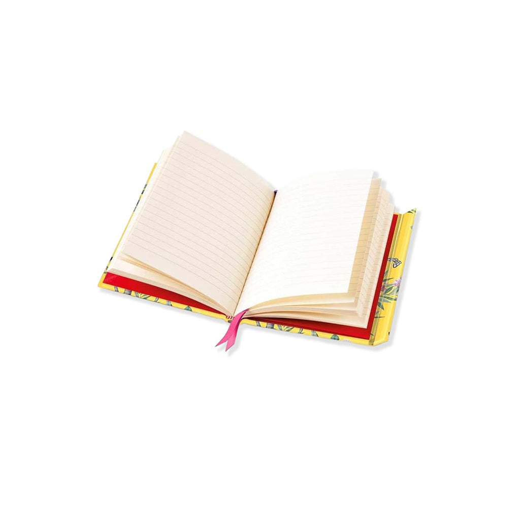 Open book with colorful pages on a white background
