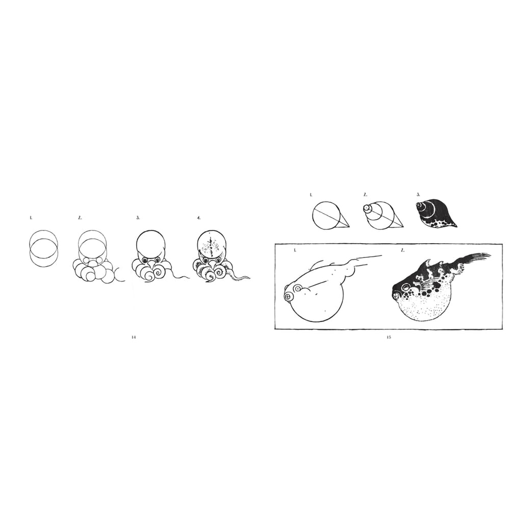 Open book page showing breakdowns of how to recreate Hokusai's artistic style of Japanese drawing with illustrations of animals and scenery in black and white ink on a white background.