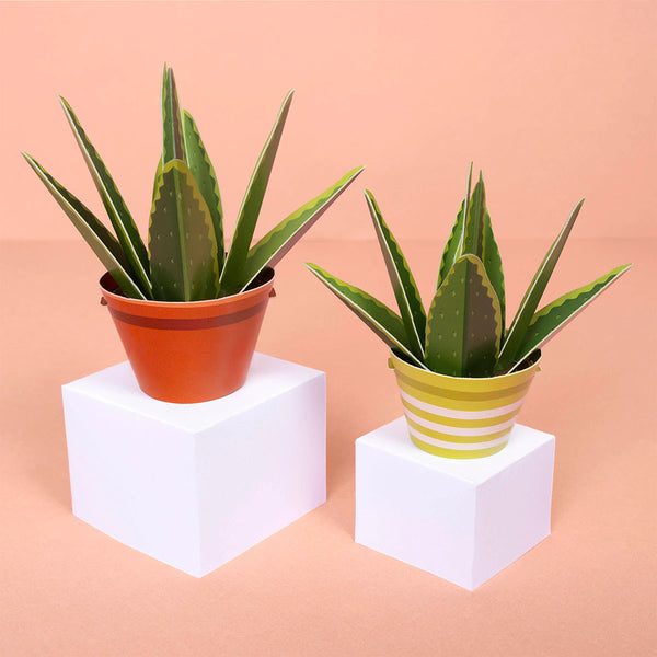 Two potted paper aloe plants on white cubes with a peach background