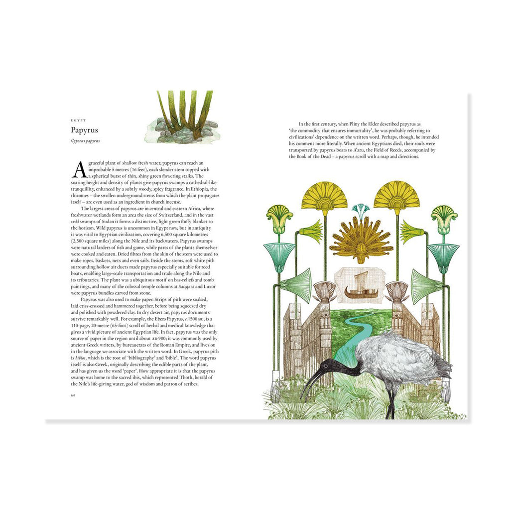 Book page with illustrations of Papyrus plants and a bird, accompanied by text.