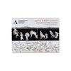 Ashmolean NOW themed concertina postcard sleeve with black and white artworks of figures and animals and Ashmolean Museum Oxford logo with 'SOMA SUROVI JANNAT CLIMATE CULTURE CHANGE' orange text on a white background.
