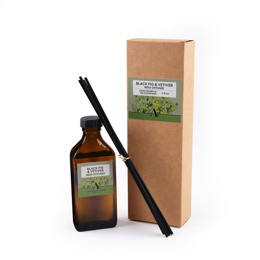 Aromatherapy diffuser set with bottle, sticks, and cardboard box on a white background