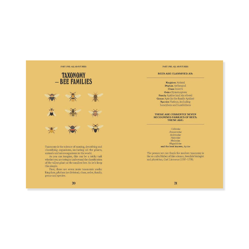 Book page with taxonomy of bee families on a yellow background