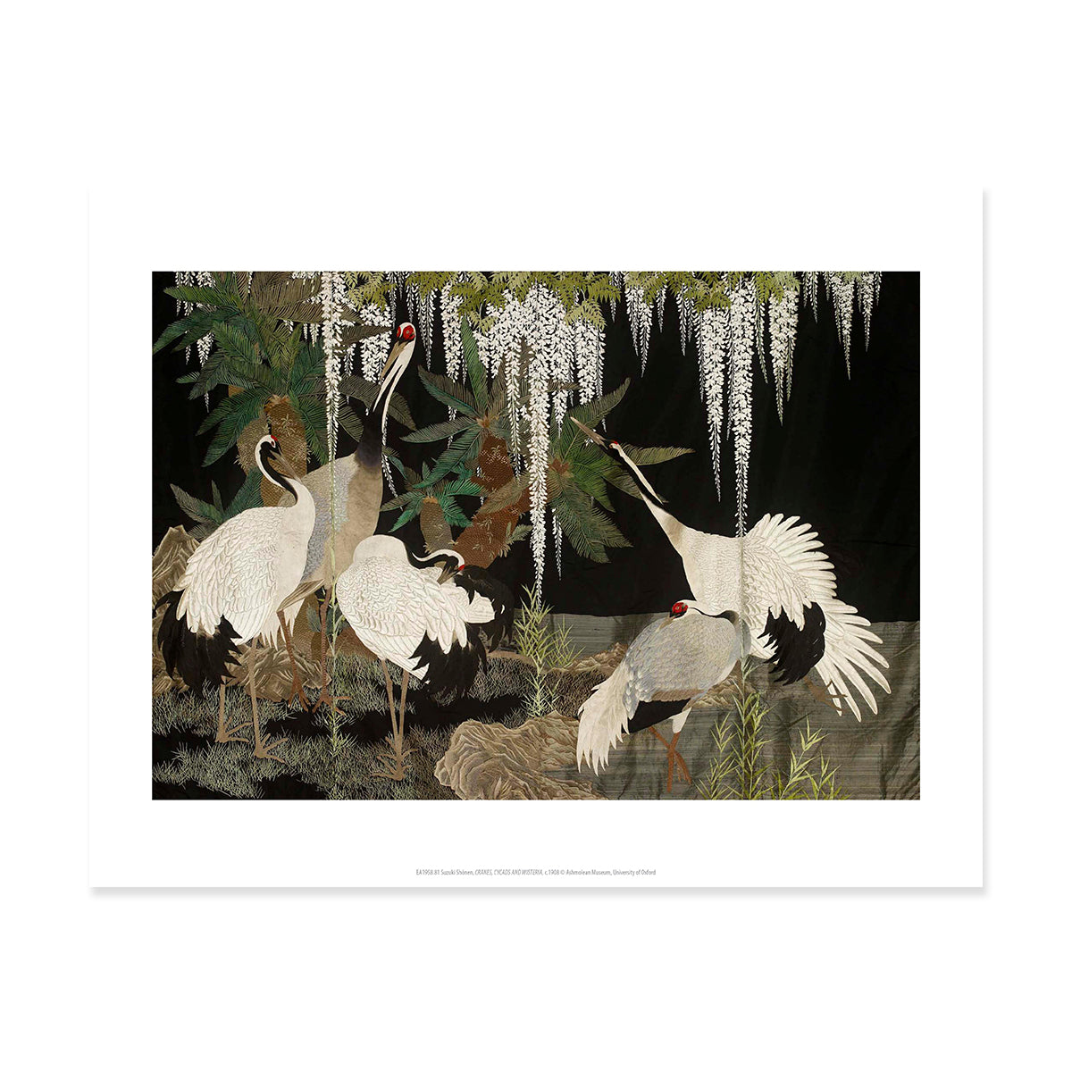Cranes, Cycads & Wisteria Print– Ashmolean Museum