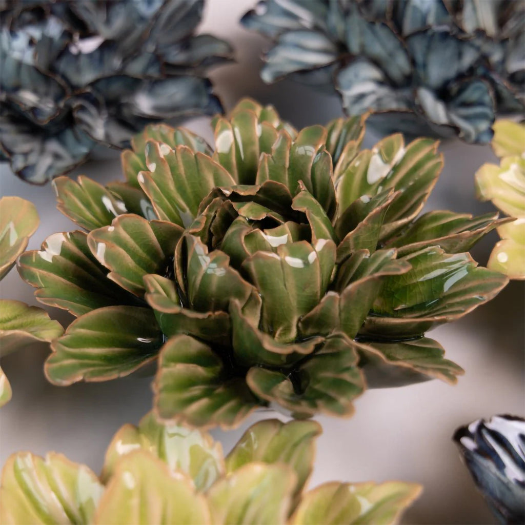 Close-up of a green ceramic succulent plant with a blurred background