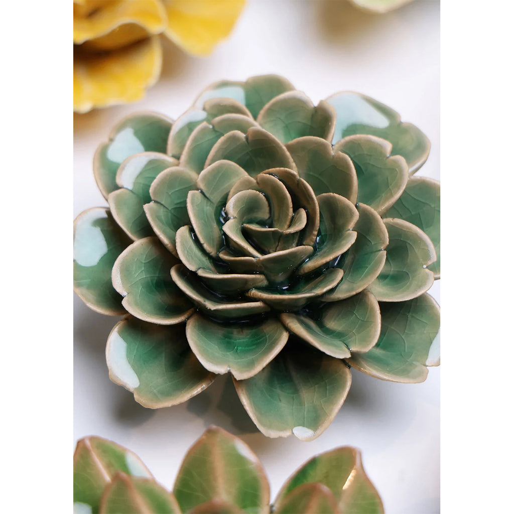 Green ceramic succulent plant on a white background