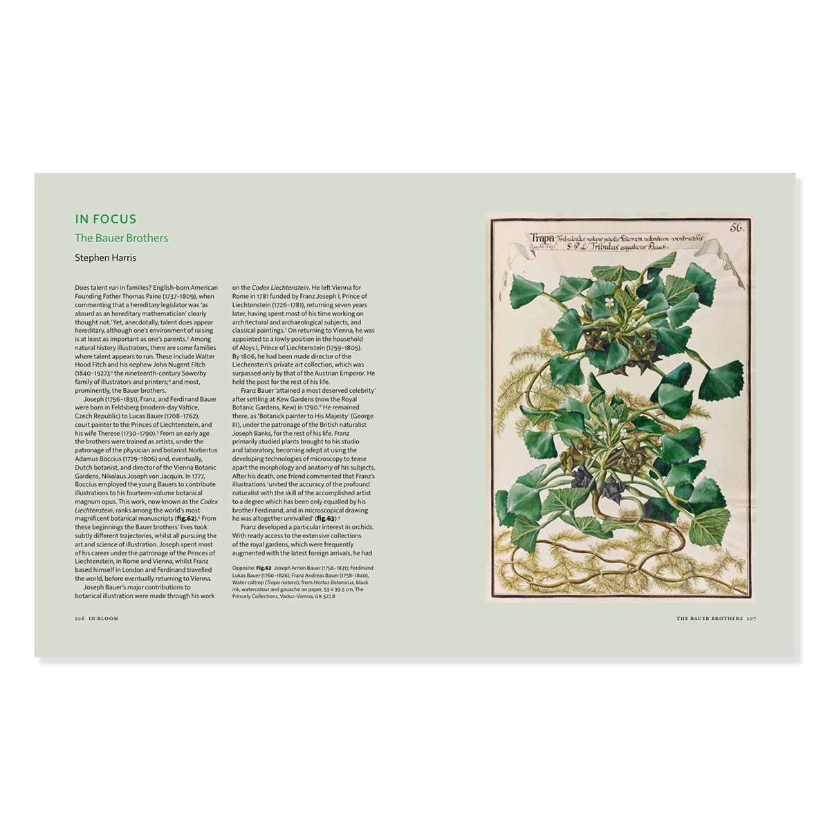 In Bloom Catalogue– Ashmolean Museum