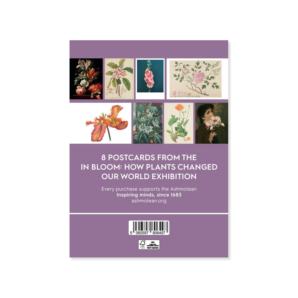 Packaging of 8 postcards from 'In Bloom: How Plants Changed Our World' exhibition with floral illustrations on a purple background.