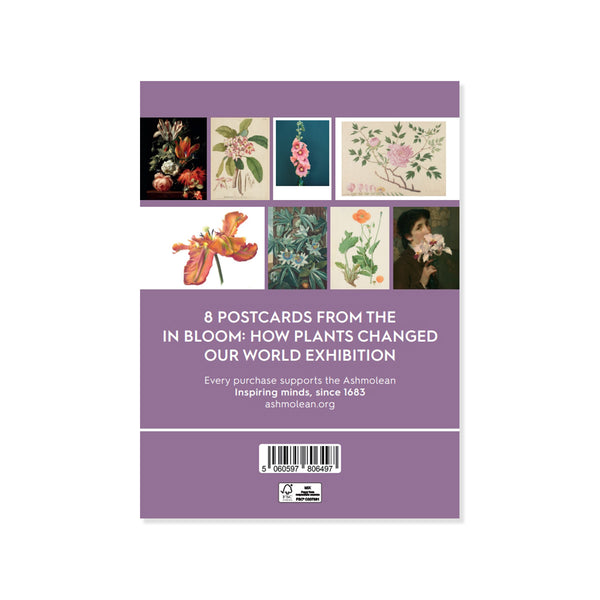 Packaging of 8 postcards from 'In Bloom: How Plants Changed Our World' exhibition with floral illustrations on a purple background.