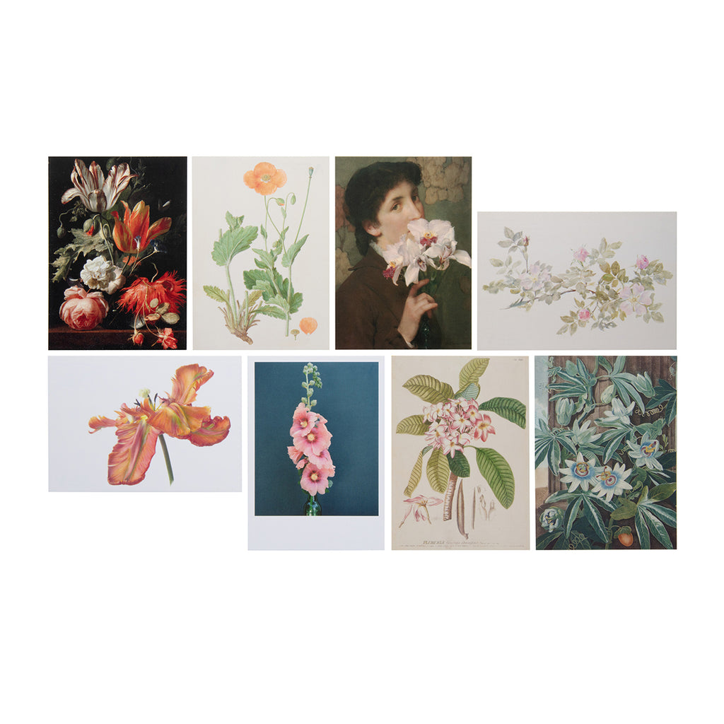 Display of designs of 8 flower artwork postcards from 'In Bloom: How Plants Changed Our World' exhibition with floral illustrations on a purple background.