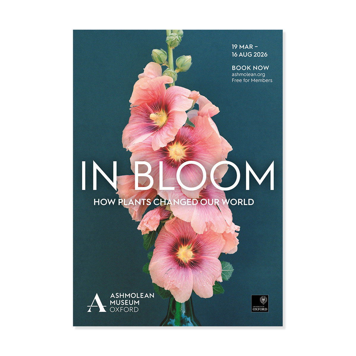 In Bloom Exhibition Poster: Kate Friend– Ashmolean Museum