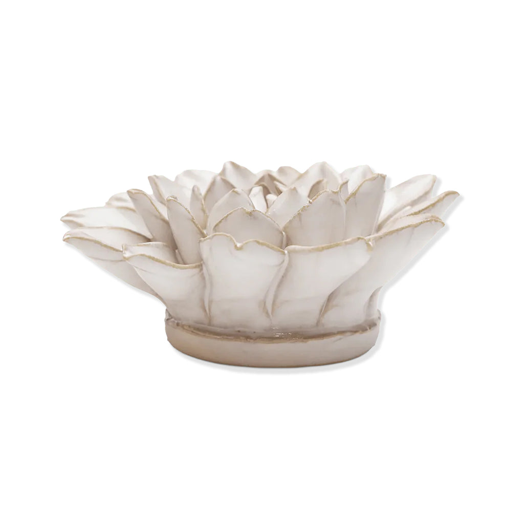 White ceramic Aster flower on a white background