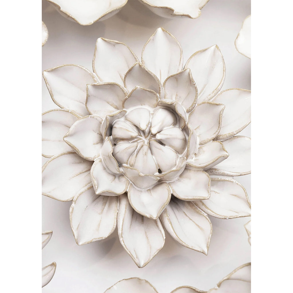 Close up of white ceramic Aster flower with other flowers in blurred background against a white background