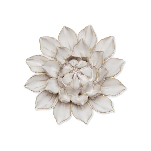 White ceramic Aster flower on a white background.