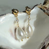 Close up of gold and pearl stud drop earrings resting on pearl coloured inside of oyster shell against a blurred background.