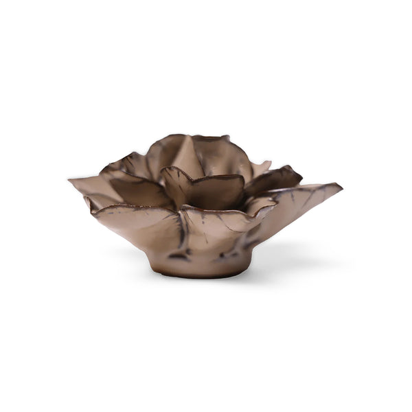 Beige brown-coloured flower-shaped object on a white background