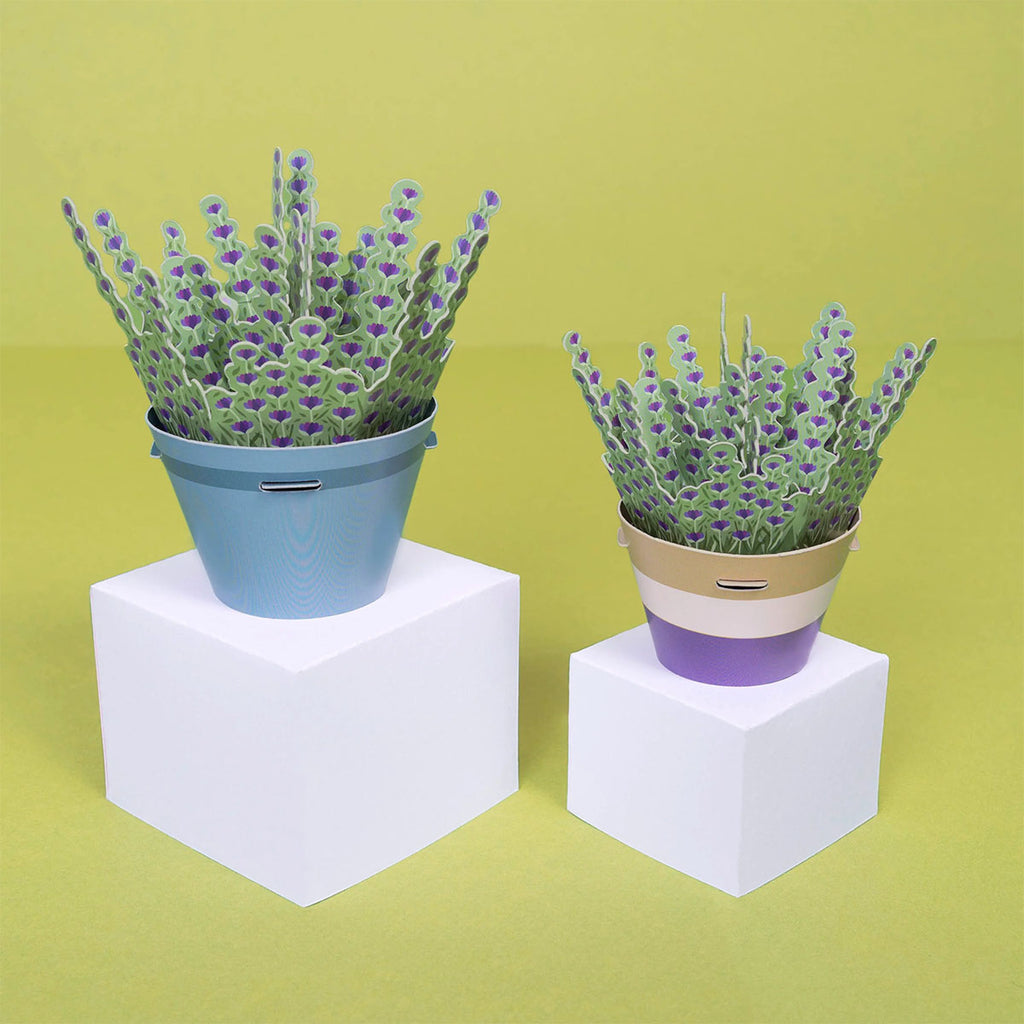Two potted paper lavender plants on white cubes with a green background