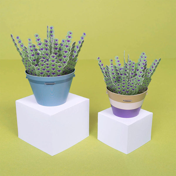 Two potted paper lavender plants on white cubes with a green background