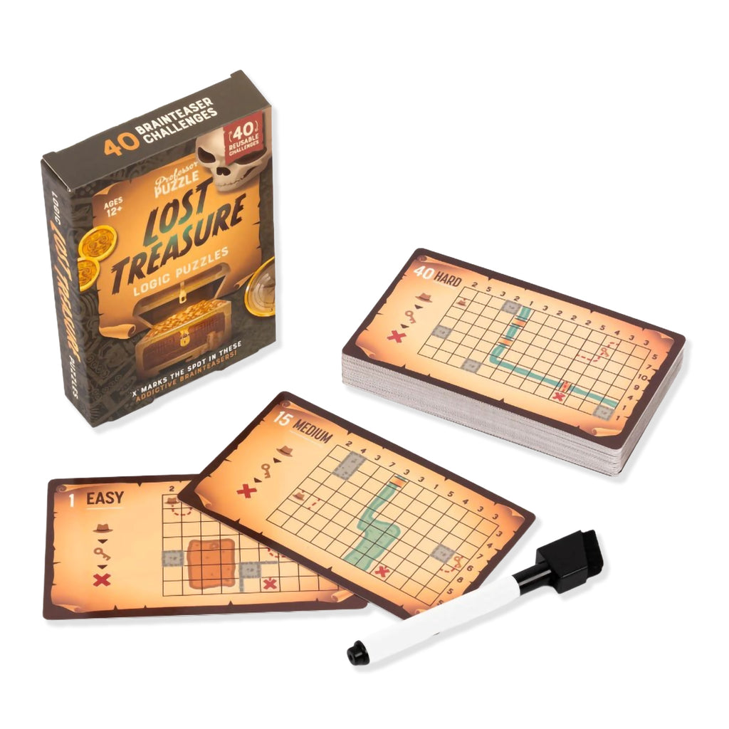 Lost Treasure puzzle game with cards and a marker on a white background