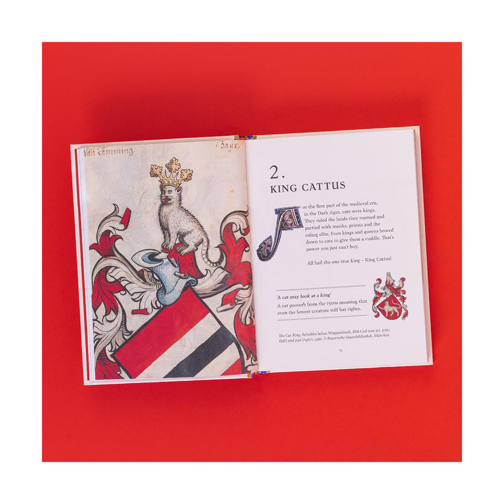 Open book with illustrations and text on a red background