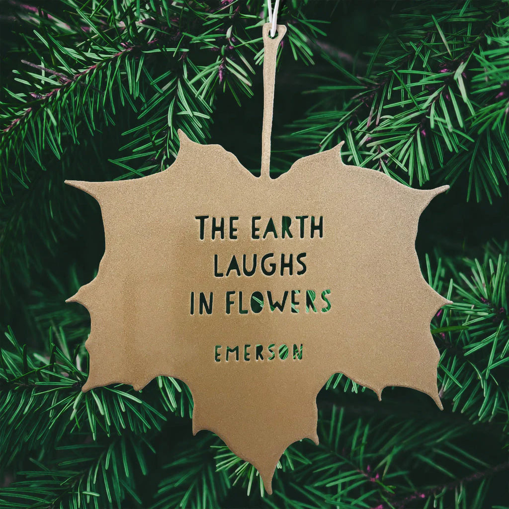 Metal bronze colour maple leaf decoration in front of pine tree branch background.