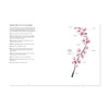Illustration of a cherry blossom branch with labeled parts on a white background