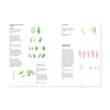 Illustrations of paint strokes for painting leaves and botanical structures with text on a white background