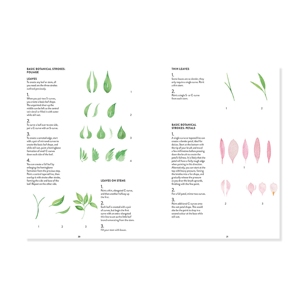 Illustrations of paint strokes for painting leaves and botanical structures with text on a white background