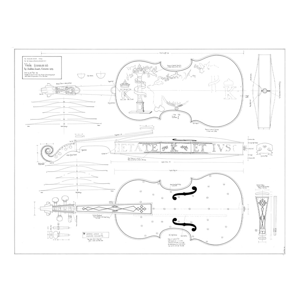 No. 11 Viola Charles IX by Andrea Amati Print  Media 1 of 2