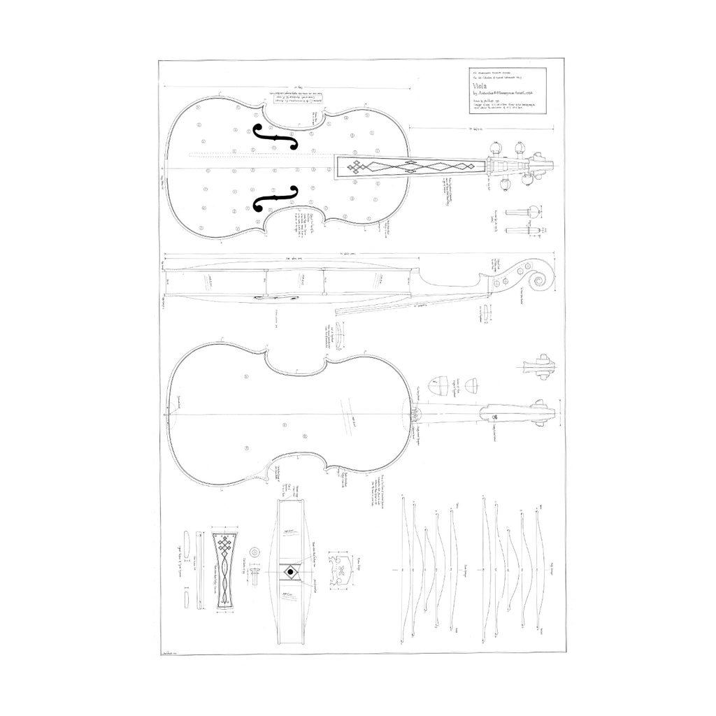 No. 13 Viola by Antonio & Girolamo Amati Print