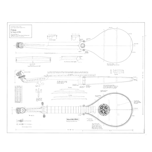 No. 31 Cittern by Gasparo da Salò Print