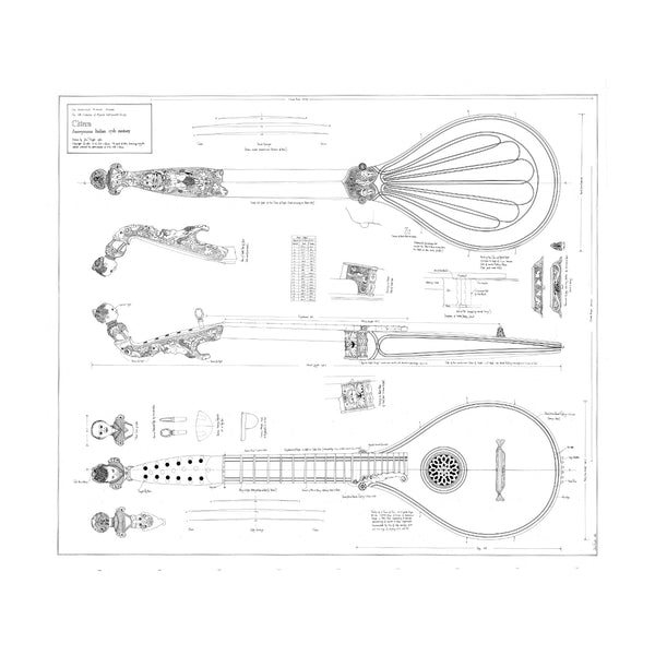 No. 33 Cittern 17th Century Italian Print