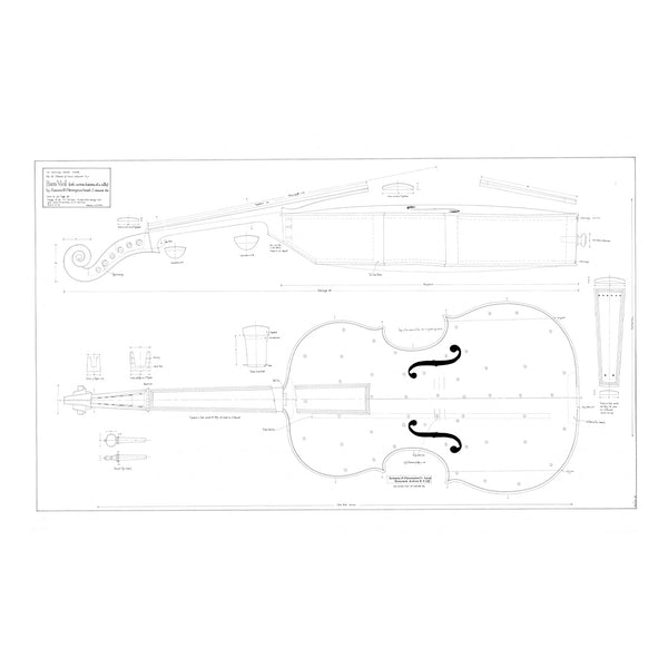 No. 7 Bass Viol by Antonio and Girolamo Amati Print