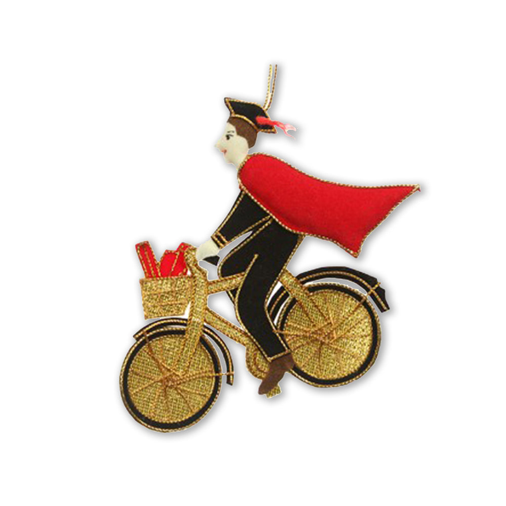 Oxford Don Decoration with red cape