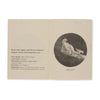 Open book with illustration of a dragon's head and text on a beige background
