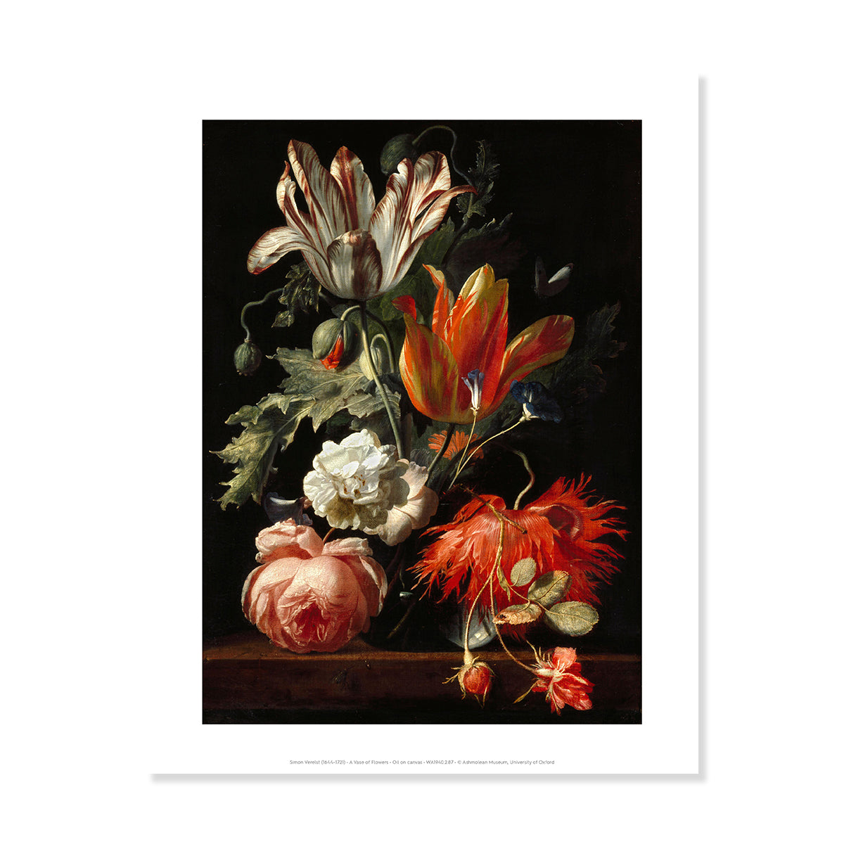 Prints & Posters– Ashmolean Museum