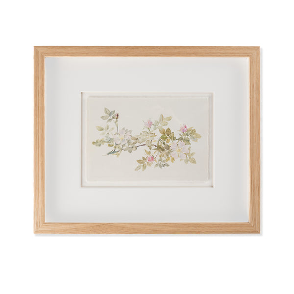 Framed artwork of a floral branch on a white background