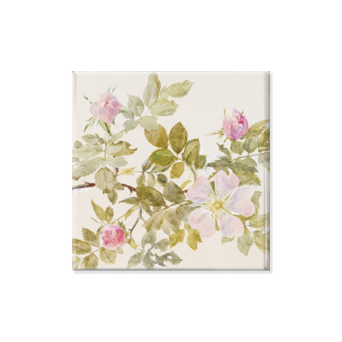 In Bloom– Ashmolean Museum