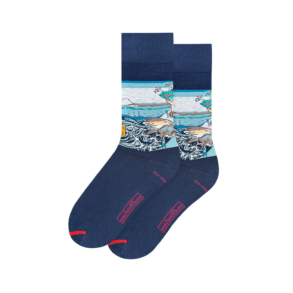 Hiroshige - The Coast At Hota Socks