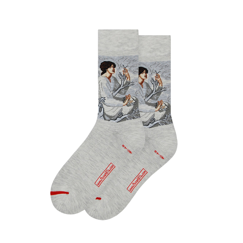 Dante Gabriel Rossetti The Day Dream Socks