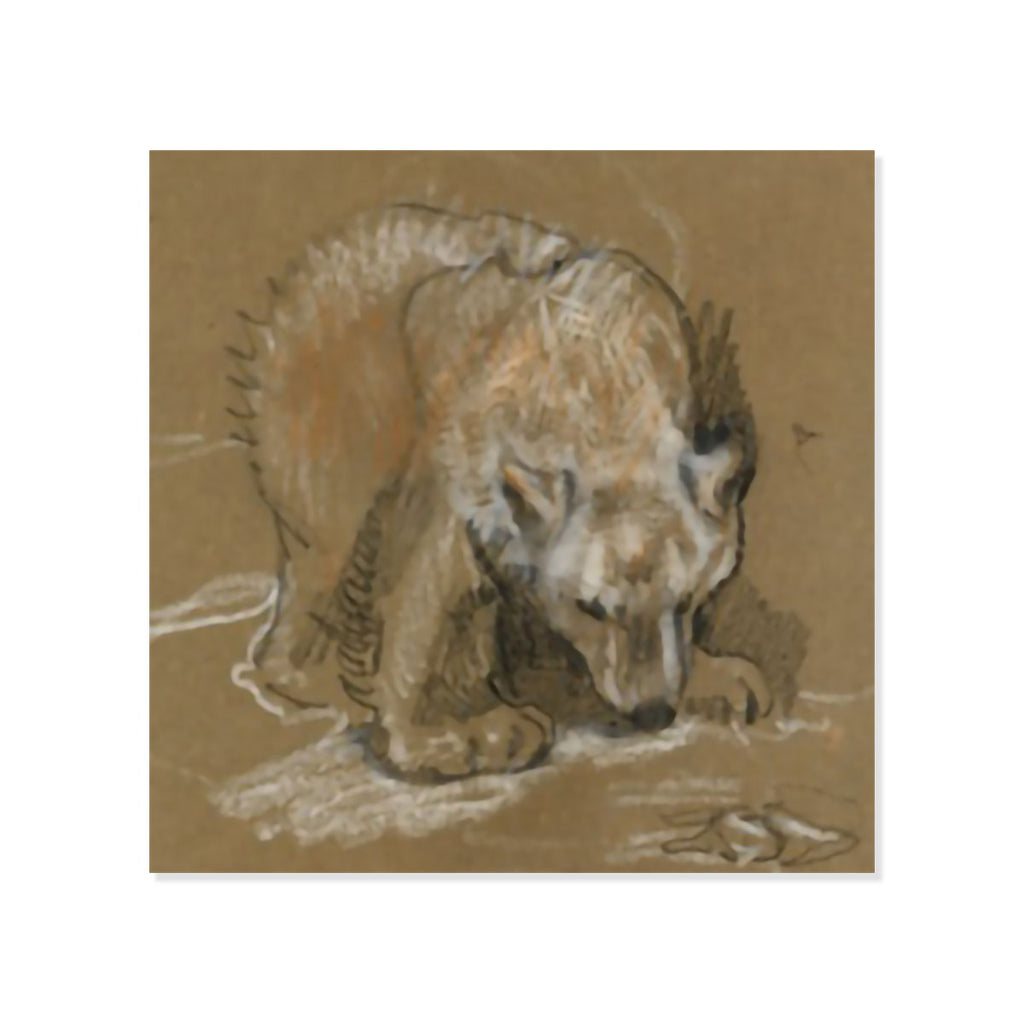 Drawing of polar bear cub in black and white chalk on brown paper Christmas cards on white background 