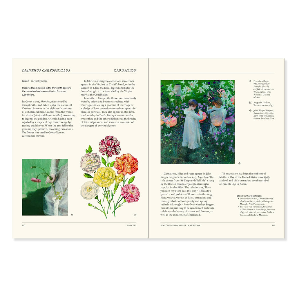 Book page with illustrations and artwork about the history and culture of the Carnation plant with accompanying text.