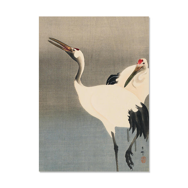 Ashmolean: Japanese Cranes Christmas Cards
