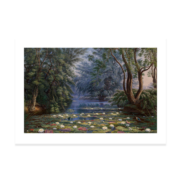 Waterlilies in the Cherwell Print