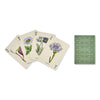 Spread of four playing cards with wildflower illustrations and reverse card design of green florals on a white background.